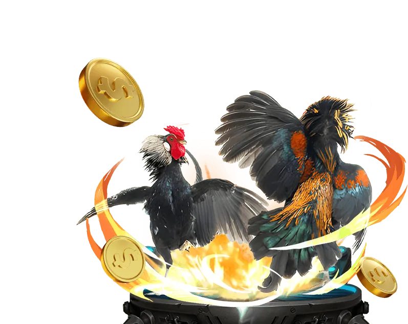 Đá gà trực tiếp Tai Zowin: Xem và đặt cược kịch tính