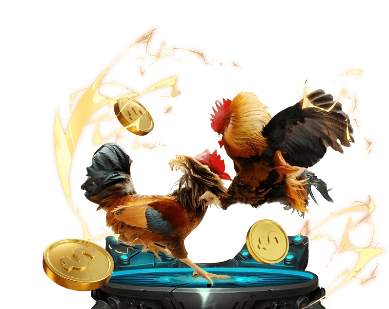 Tổng quan về nền tảng Tai Zowin